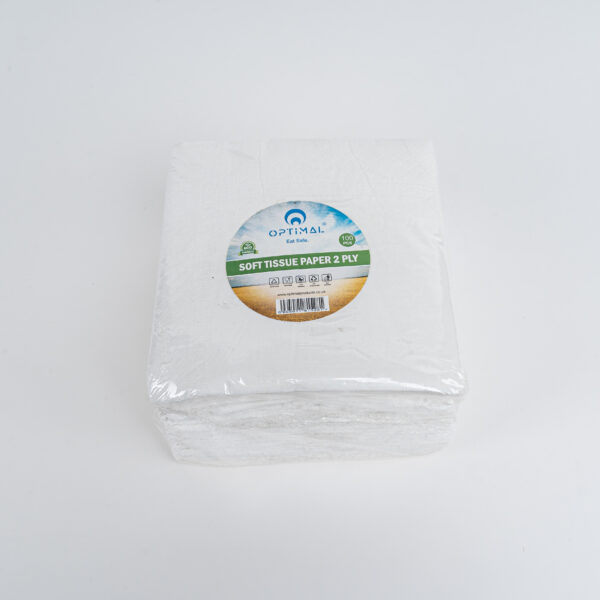Paper Napkin 13x13 - 2 Ply